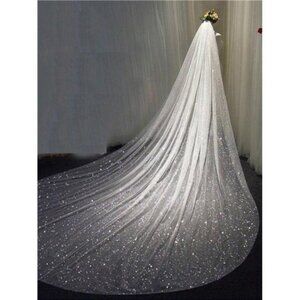 Elegant White Sparkling Glitter Veil